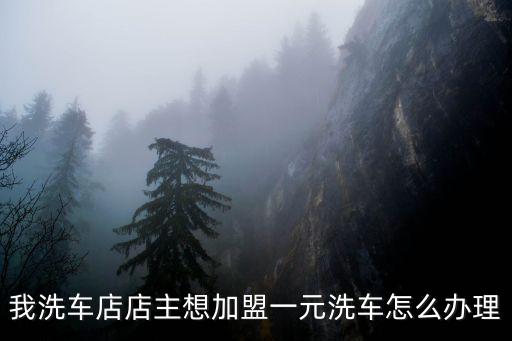 我洗車店店主想加盟一元洗車怎么辦理