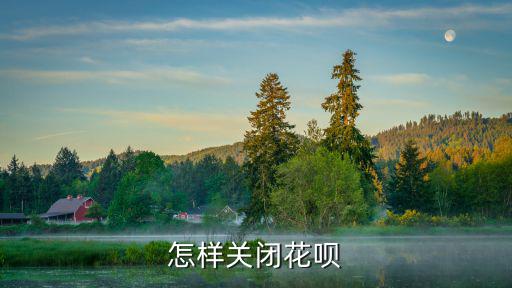 使用花唄怎么關(guān)閉嗎，花唄怎么關(guān)閉