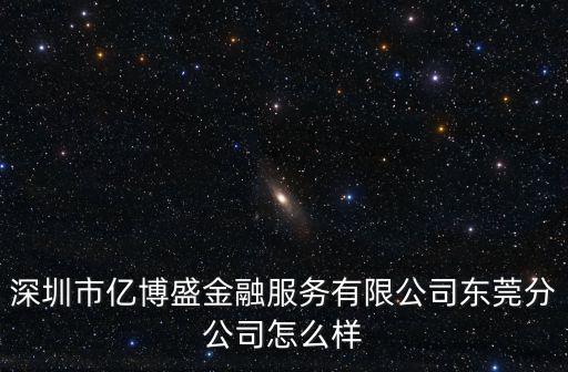 深圳市億博盛金融服務有限公司東莞分公司怎么樣