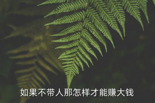 如果不帶人那怎樣才能賺大錢