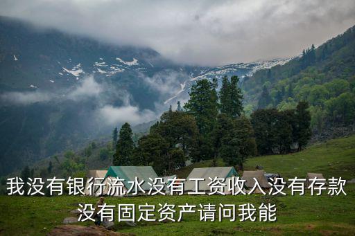 我沒(méi)有銀行流水沒(méi)有工資收入沒(méi)有存款沒(méi)有固定資產(chǎn)請(qǐng)問(wèn)我能