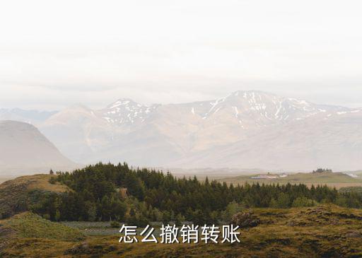 怎么撤銷轉(zhuǎn)賬