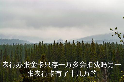 農(nóng)行辦張金卡只存一萬多會扣費嗎另一張農(nóng)行卡有了十幾萬的