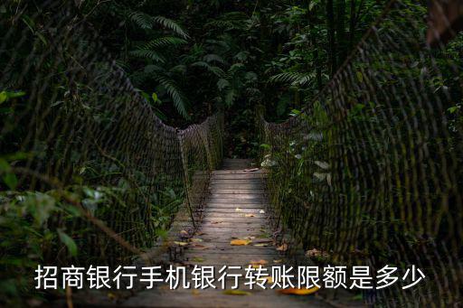 招商銀行手機銀行轉(zhuǎn)賬限額是多少