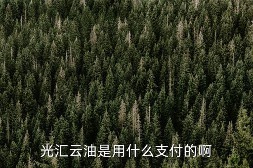 光匯云油是用什么支付的啊