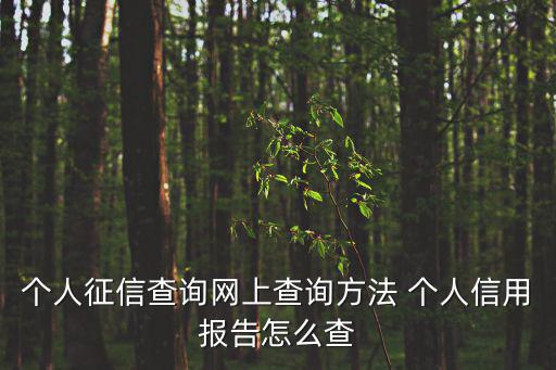 個(gè)人征信查詢網(wǎng)上查詢方法 個(gè)人信用報(bào)告怎么查