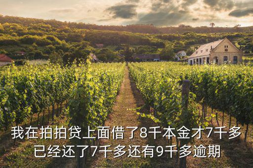 我在拍拍貸上面借了8千本金才7千多已經(jīng)還了7千多還有9千多逾期