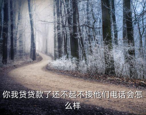 你我貸貸款了還不起不接他們電話會怎么樣