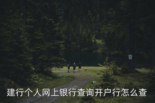 建行app怎么查開戶行，建設銀行手機銀行怎么查詢開戶行