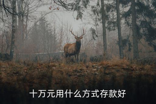 幾十萬錢怎么存好，如果你一下?lián)碛袔资f怎么做是全部存入一個銀行還是每個銀行存一點