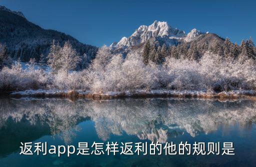 返利投怎么返利，返利網(wǎng)怎么返利
