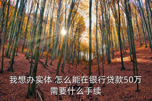 想銀行貸款50萬怎么辦理，我想貸款50萬需要什么條件