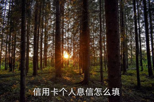 申請信用卡學(xué)歷怎么填，用學(xué)歷申請信用卡需要什么條件