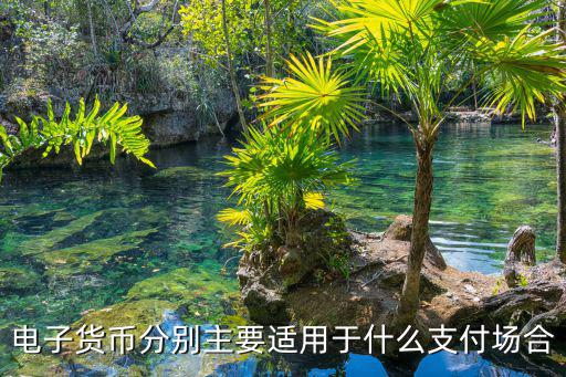電子貨幣分別主要適用于什么支付場(chǎng)合