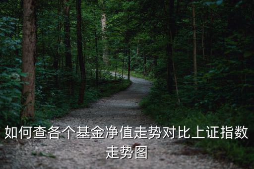 如何查各個(gè)基金凈值走勢(shì)對(duì)比上證指數(shù)走勢(shì)圖