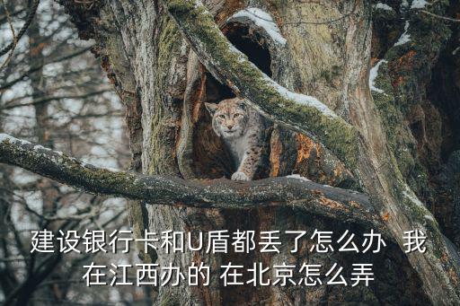 銀行卡和u盾都丟了怎么補(bǔ)辦，建設(shè)銀行卡和U盾都丟了怎么辦  我在江西辦的 在北京怎么弄