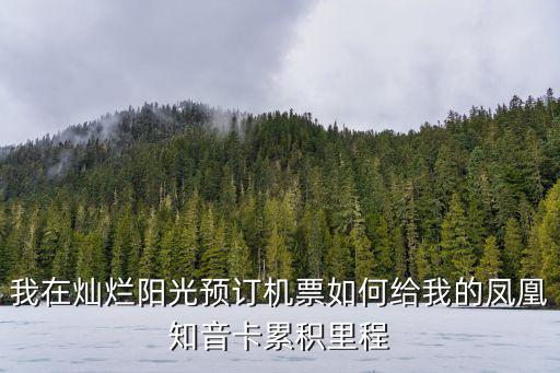 怎么辦理鳳凰知音卡，鳳凰知音卡丟失了的話能補(bǔ)辦嗎具體咋操作QAQ