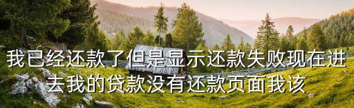 我已經(jīng)還款了但是顯示還款失敗現(xiàn)在進(jìn)去我的貸款沒(méi)有還款頁(yè)面我該