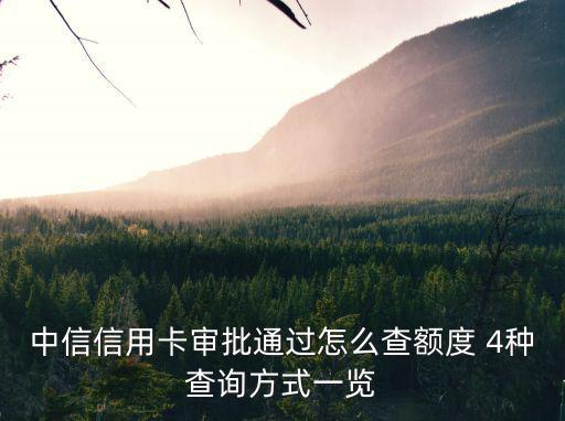 中信信用卡審批通過怎么查額度 4種查詢方式一覽