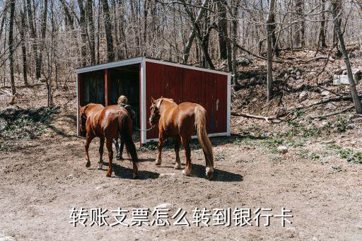 轉賬支票到銀行怎么辦理嗎，轉賬支票怎么轉到銀行卡