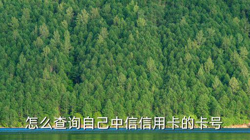 怎么查詢自己中信信用卡的卡號