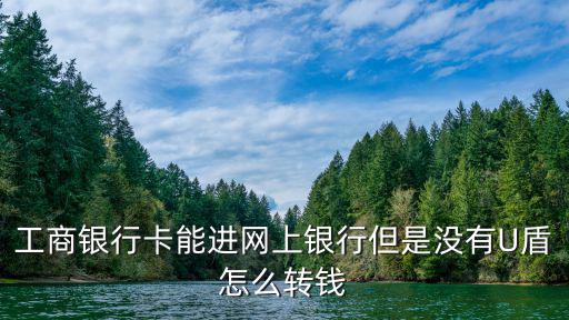 工商銀行卡能進(jìn)網(wǎng)上銀行但是沒有U盾怎么轉(zhuǎn)錢