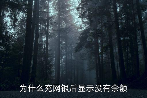 為什么充網銀后顯示沒有余額