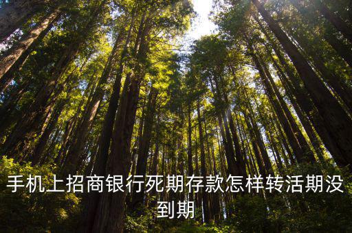 手機(jī)上招商銀行死期存款怎樣轉(zhuǎn)活期沒(méi)到期