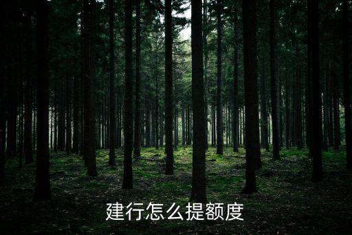 建行怎么提額度