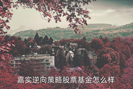 嘉實(shí)逆向策略股票基金怎么樣