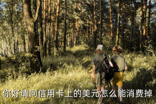 你好請問信用卡上的美元怎么能消費(fèi)掉