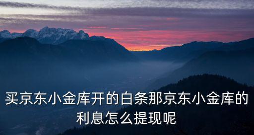 京東小金庫怎么體現(xiàn)，買京東小金庫開的白條那京東小金庫的利息怎么提現(xiàn)呢
