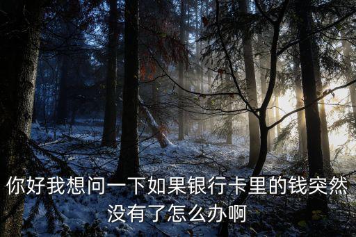 你好我想問一下如果銀行卡里的錢突然沒有了怎么辦啊