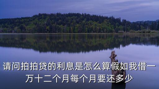 拍拍貸分期商城怎么算，請(qǐng)問(wèn)拍拍貸的利息是怎么算假如我借一萬(wàn)十二個(gè)月每個(gè)月要還多少