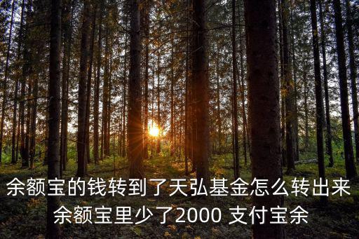 余額寶的錢轉到了天弘基金怎么轉出來 余額寶里少了2000 支付寶余