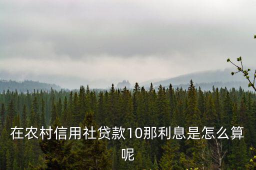 在農(nóng)村信用社貸款10那利息是怎么算呢