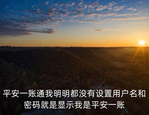 怎么設(shè)置一賬通用戶名是什么情況，平安一賬通我明明都沒有設(shè)置用戶名和密碼就是顯示我是平安一賬