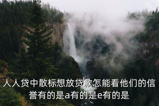 人人貸中散標(biāo)想放貸款怎能看他們的信譽(yù)有的是a有的是e有的是