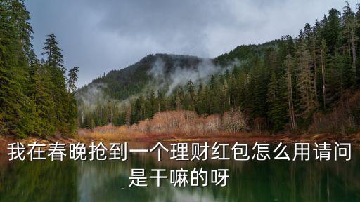 我在春晚?yè)尩揭粋€(gè)理財(cái)紅包怎么用請(qǐng)問是干嘛的呀