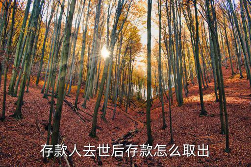 存款人去世后存款怎么取出