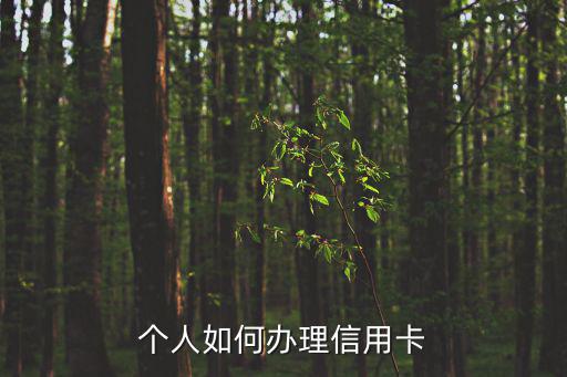 個(gè)人的怎么辦信用卡，個(gè)人信用卡如何辦理