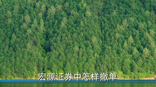 宏源證券中怎樣撤單