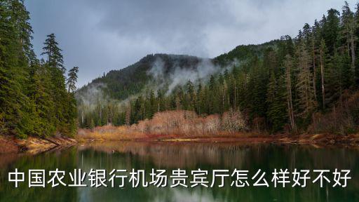 中國農(nóng)業(yè)銀行機(jī)場貴賓廳怎么樣好不好