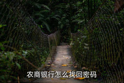 農(nóng)商銀行密碼怎么看，知道山東農(nóng)信的卡號和身份證怎么查密碼