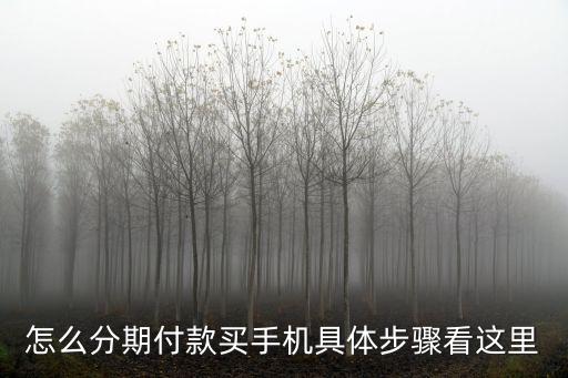 怎么分期付款買(mǎi)手機(jī)具體步驟看這里