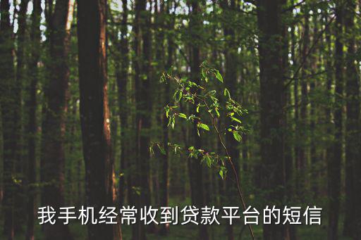 我手機(jī)經(jīng)常收到貸款平臺(tái)的短信