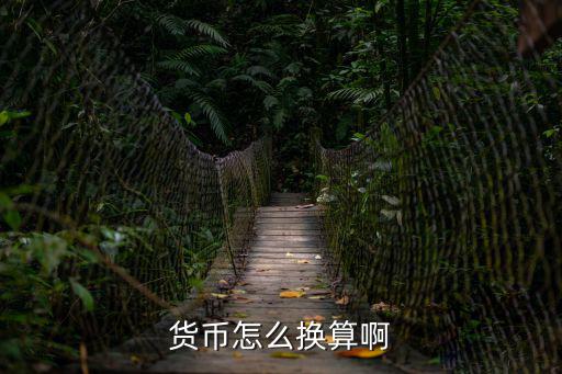 貨幣怎么換算啊