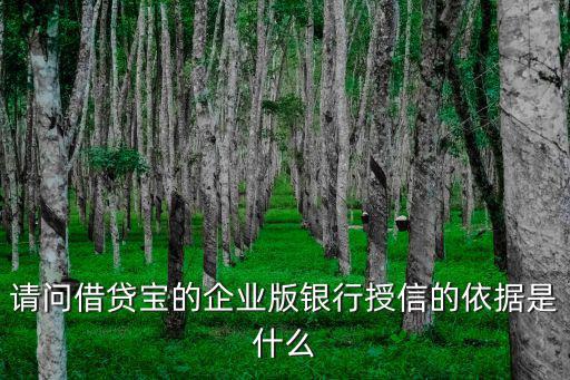 請問借貸寶的企業(yè)版銀行授信的依據(jù)是什么