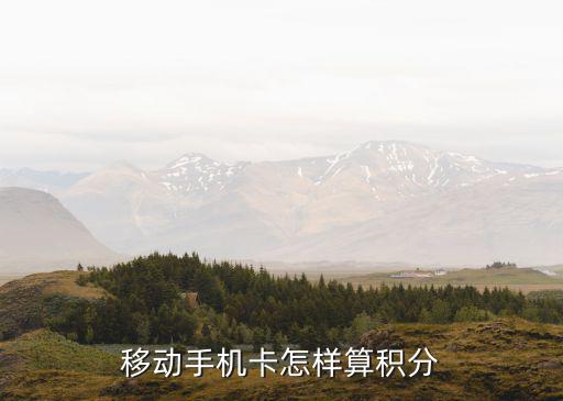 附屬卡積分怎么計算，商業(yè)銀行積分是怎么算的