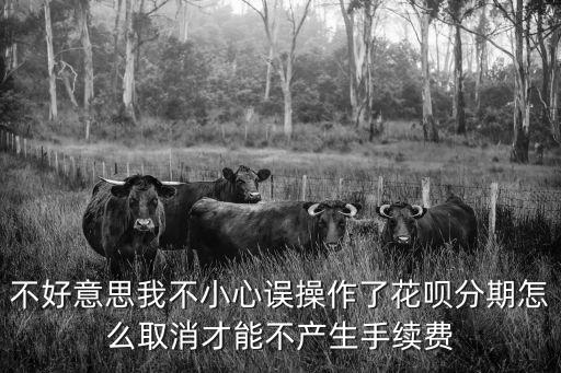 不好意思我不小心誤操作了花唄分期怎么取消才能不產(chǎn)生手續(xù)費(fèi)